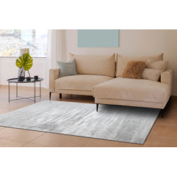 Dywan BLISS Z206AZ256 jasnoszary / szary - Linie, nowoczesny, strukturalny  80x150cm
