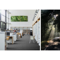 Wykładzina dywanowa Balta Arc Edittion E-Blitz 46