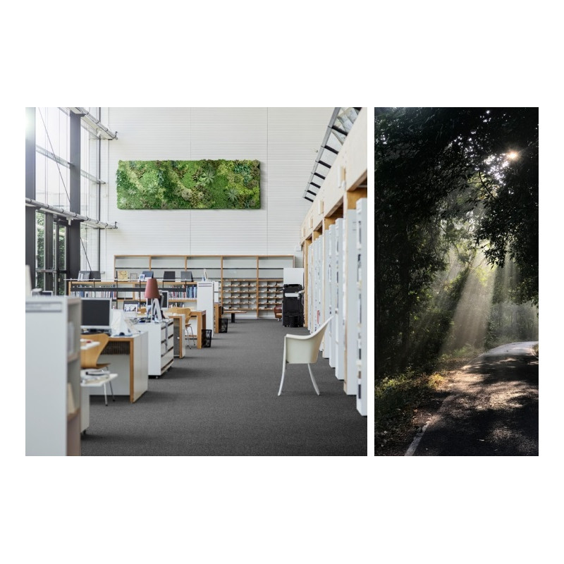 Wykładzina dywanowa Balta Arc Edittion E-Blitz 55