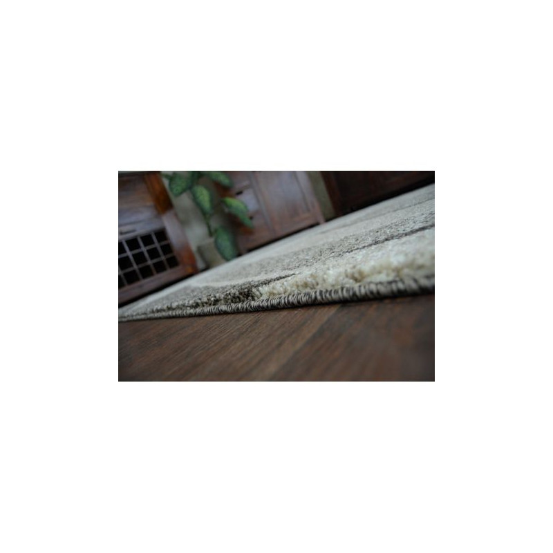Dywan SHADOW 8594 brown / light beige 120x170cm