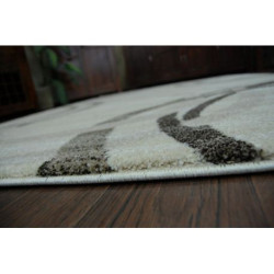 Dywan SHADOW 8645 cream / light beige 120x170cm