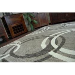 Dywan SHADOW 8645 dark beige / brown 120x170cm