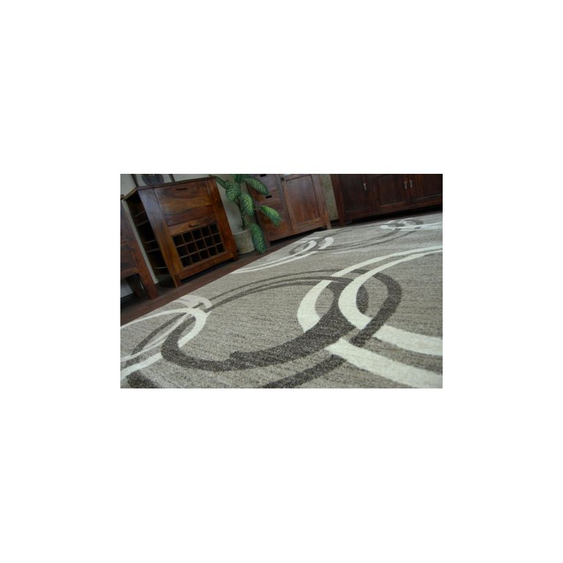 Dywan SHADOW 8645 dark beige / brown 120x170cm