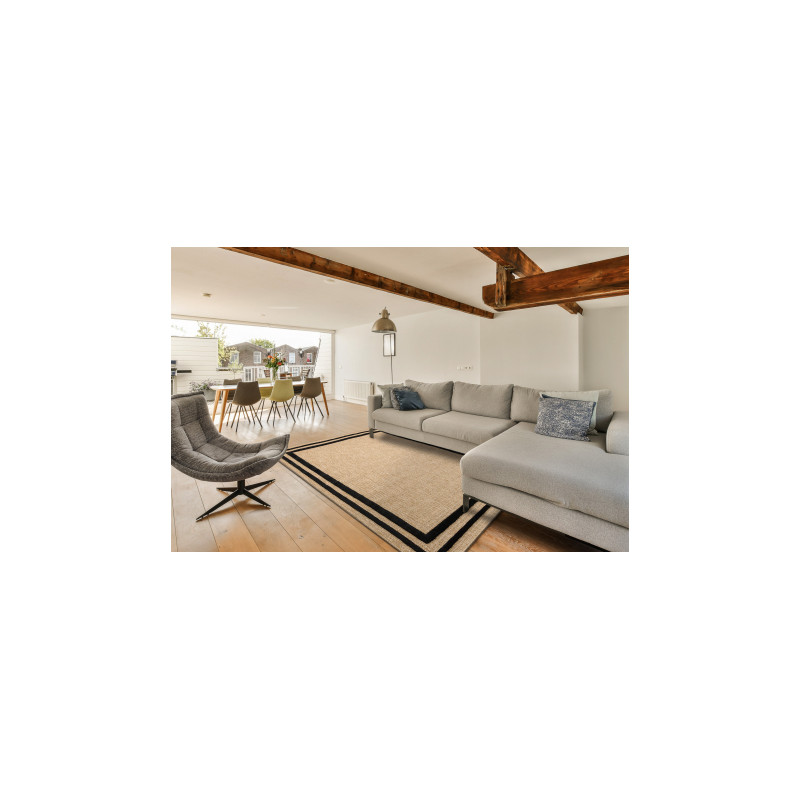 Dywan SPARK 0687 beż / czarny - Ramka, sizal, strukturalny  160x220cm