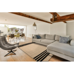 Dywan SPARK 0689 beż / czarny - Linie, sizal, strukturalny  120x170cm