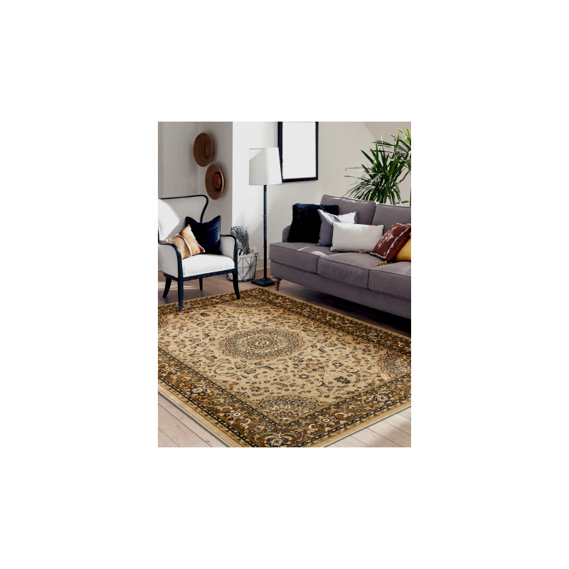 Dywan ROYAL E0177 Ramka, rozeta - beż / brązowy 250x350cm
