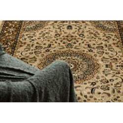 Dywan ROYAL E0177 Ramka, rozeta - beż / brązowy 250x350cm