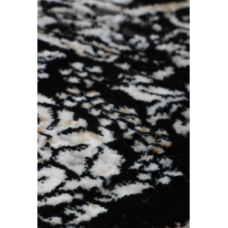 Dywan Tender 27185A BLACK VELVET 194x290cm Dywan Tender 27185A BLACK VELVET 194x290cm