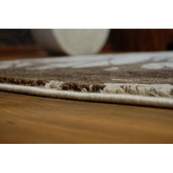 Dywan AKRYL PATARA 0203 Cream/Brown 80x150cm