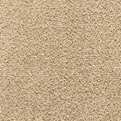 Wykładzina dywanowa Balta Cashmere Velvet 34