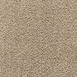 Wykładzina dywanowa Balta Cashmere Velvet 38