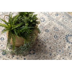 Dywan NAIN Ornament, ramka 7586/51635 beż / niebieski 240x340cm