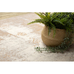 Dywan NAIN Ornament vintage 7699/51655 beż / brązowy 200x300cm Dywan NAIN Ornament vintage 7699/51655 beż / brązowy 200x300cm