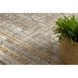 Dywan DUKE 51523 beż / złoty - Ramka, strukturalny, bardzo miękki, frędzle  120x170cm