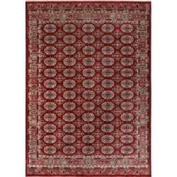 Dywan Lalee Home Dakar DAK 701 Red
