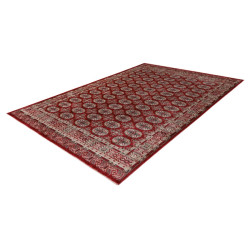 Dywan Lalee Home Dakar DAK 701 Red
