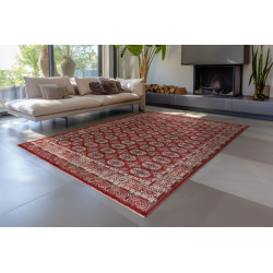 Dywan Lalee Home Dakar DAK 701 Red
