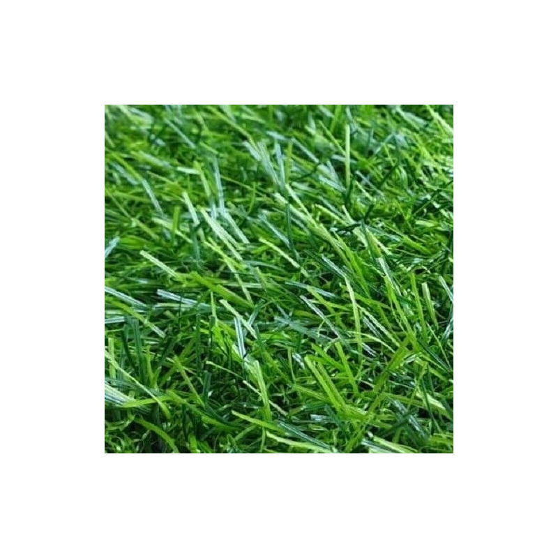 Kunstrasen Kunstgras Gras Rasenteppich Teppich Miami 50x100cm bis 300x400cm