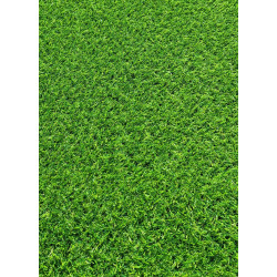 Kunstrasen Kunstgras Gras Rasenteppich Teppich Miami 50x100cm bis 300x400cm