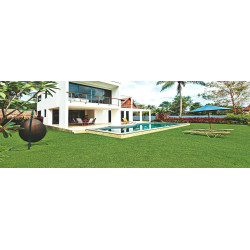 Kunstrasen Rasenteppich grün Balkon Garten Floryda 2m 4m Breite