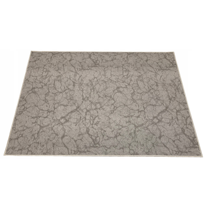Nowoczesny Trwały Dywan 100x150 Jasny Szary Kuchnia Jadalnia Nowoczesny Trwały Dywan 100x150 Jasny Szary Kuchnia Jadalnia