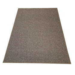 Dywan 100x150 6 kolorów Praktyczny Pętelkowy Połaskotany Kuchnia Salon