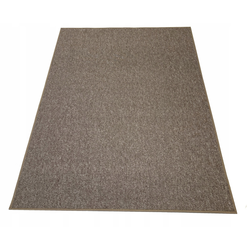 Dywan 100x150 6 kolorów Praktyczny Pętelkowy Połaskotany Kuchnia Salon