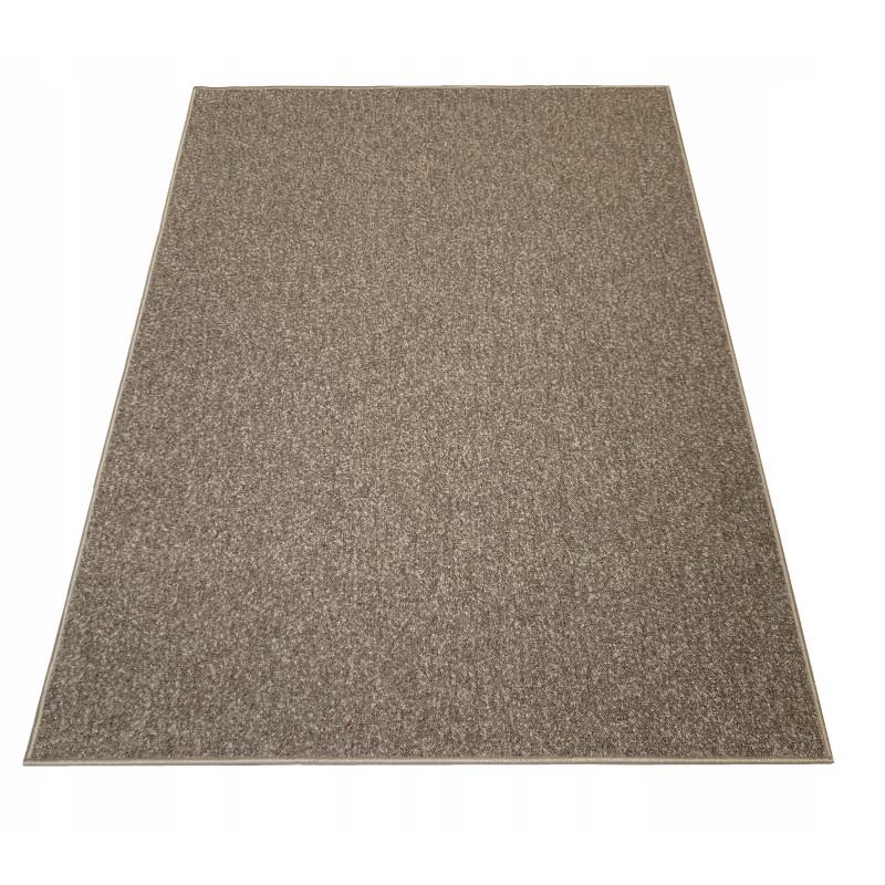 Dywan 100x150 6 kolorów Praktyczny Pętelkowy Połaskotany Kuchnia Salon