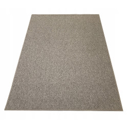 Dywan 100x150 6 kolorów Praktyczny Pętelkowy Połaskotany Kuchnia Salon
