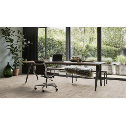 Wykładzina PCV Tarkett Iconik 280T Legacy Oak Light Grey 2m podkład filc