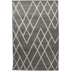 Dywan Pronto 45/Y98E 120x170cm