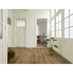 Wykładzina PCV DYNASTY LIME OAK 631M 400CM