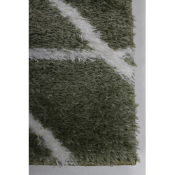 Dywan Boho 659 GREEN/CREAM 160x220cm Dywan Boho 659 GREEN/CREAM 160x220cm