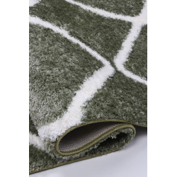 Dywan Boho 613 GREEN/CREAM 160x220cm Dywan Boho 613 GREEN/CREAM 160x220cm