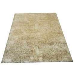 Dywan OKAZJA! EFESS SHAGGY 160x220 d-d-647