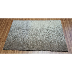 Dywan OKAZJA! TEXAS SHAGGY 160x230 d-d-4356 Dywan OKAZJA! TEXAS SHAGGY 160x230 d-d-4356