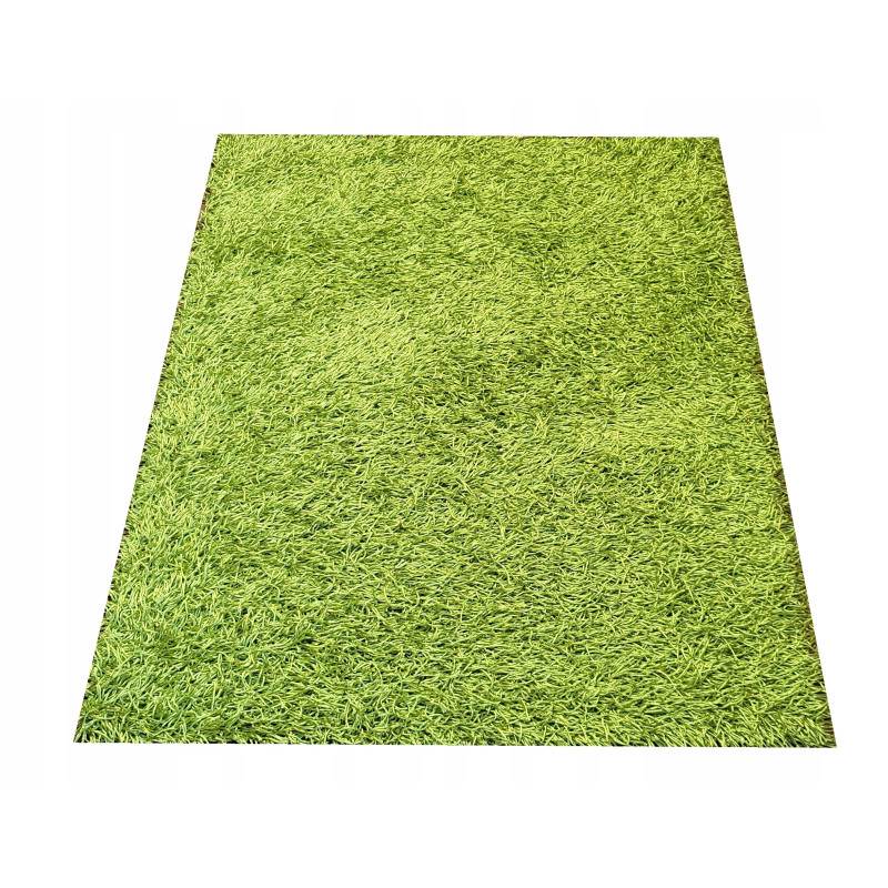 Dywan OKAZJA! COLORADO SHAGGY 140x190 d-d-9991A Dywan OKAZJA! COLORADO SHAGGY 140x190 d-d-9991A