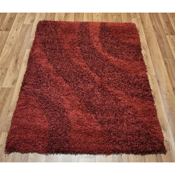 Dywan OKAZJA! SUPER SHAGGY 120x170 d-d-740