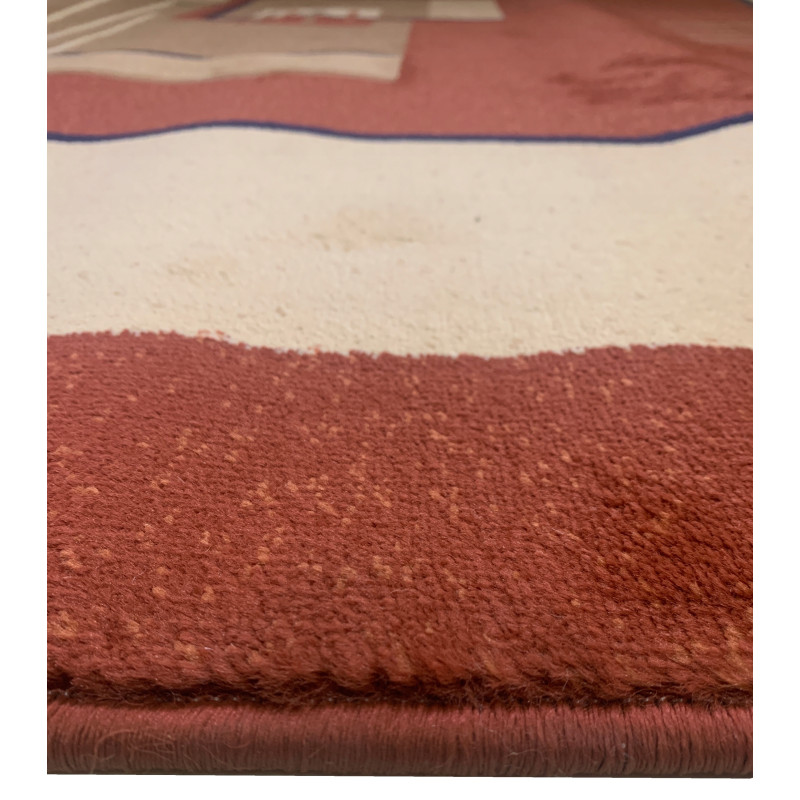 Dywan OKAZJA! 220x305cm Terakota HSN d-d-4481